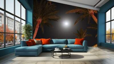 Palm trees, Night, Sharm el Sheik, Egypt Wall mural