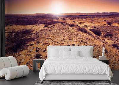 Rock formations in the Israel desert Wall mural