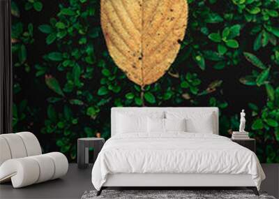 Yellow Leaf 2 Wall mural