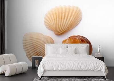 Exotic sea shells isolated on white background Wall mural