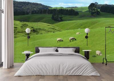 Grazing sheep Wall mural