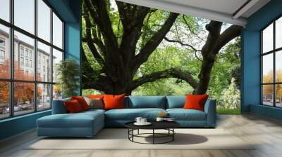 Majestic tree Wall mural