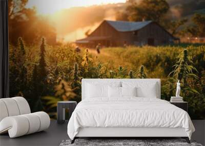 A green hemp field in the rays of the setting sun, with a farmer's house on the horizon. Legal cultivation of marijuana for medicinal raw materials. Wall mural