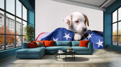 American independence day concept, cute puppy jack russell terrirer pose with USA flag Wall mural