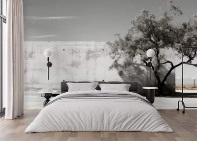 Black and white picture of a tree in the background of ultra-modern minimalist building made of concrete and glass. Live object and grey monochrome inanimate background combination. Wall mural