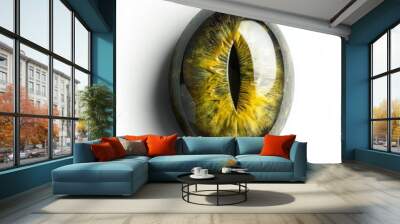 Chrysoberyl Cat's Eye Effect on Pure White Surface Wall mural