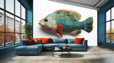 Colorful Flowerhorn Cichlid Against Spotless White Background Wall mural