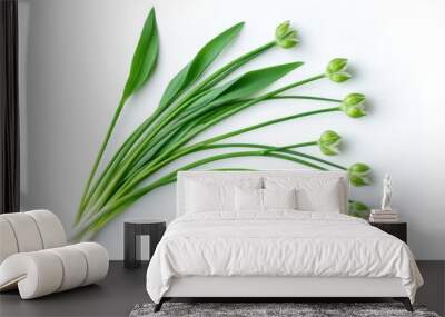 Curled Garlic Scape on White Background Wall mural