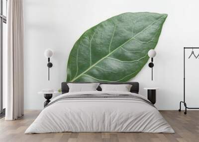 Glossy Wild Wintergreen Leaf on White Wall mural