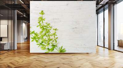 Grass on old wooden table Wall mural