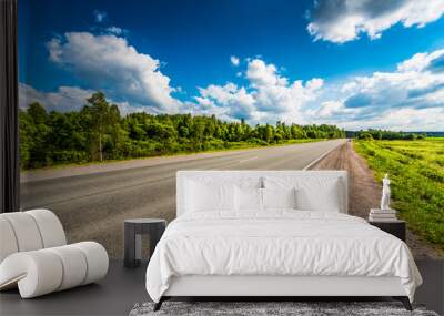 Rural road passing through fields and woods. View from the road Wall mural