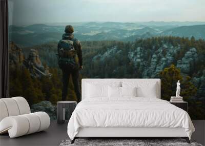 Solo Adventurer Exploring Black Hills Wall mural