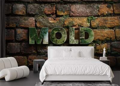 Mold Growth on Brick Wall Background Wall mural