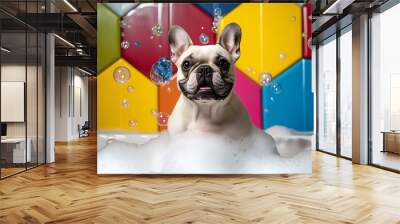 Portrait of French Bulldog dog standing in bathtub surrounded by bubble foam, domestic pets, animals Wall mural