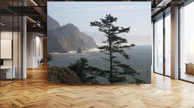 Oregon Coast at Ecola state Park II Wall mural