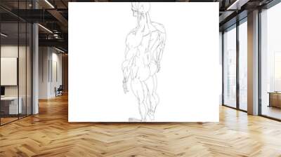 Human body anatomy male man contour , muscular system of muscles . Flat medical scheme poster of training healthcare gym outline, vector illustration. Male body muscular system sketch drawing.. Wall mural