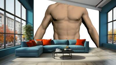 Nude male torso Wall mural