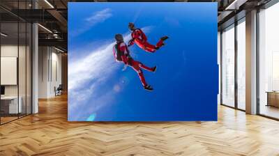 Two sports parachutist build a figure in free fall. Extreme sport concept. Wall mural