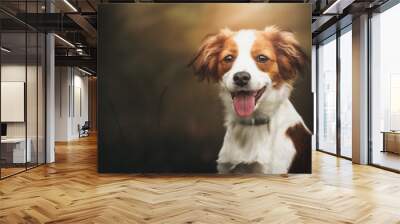 Portrait of a cute Kooiker dog smiling and looking straight in the lens Wall mural