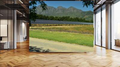 A citrus farm in the Western Cape running totally on green solar energy Wall mural