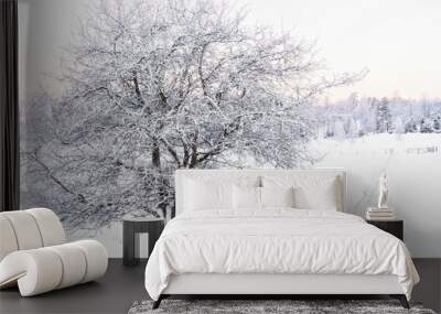 Apple tree in winter Wall mural