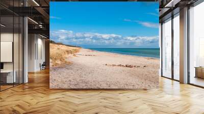 Marielyst beach in Denmark Wall mural