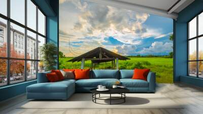 Arial view of old galvanized cottage in rice fields growing. concept agriculture Wall mural