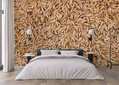 closeup paddy rice seed background Wall mural