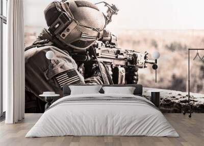 United States Army ranger Wall mural