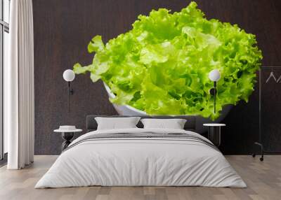 Green lettuce in white bowl on wooden background Wall mural