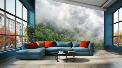 The mist drifts over the trees at the mountains.rain season Wall mural