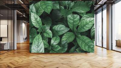 tropical leaves in nature,dark moody green ,foliage natural background Wall mural