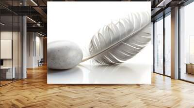 3d Flat icon as Feather and stone symbolizing lightness and heaviness with ample space for text. concept as A feather and a stone representing the fundamentals of lightness and heaviness with blank sp Wall mural