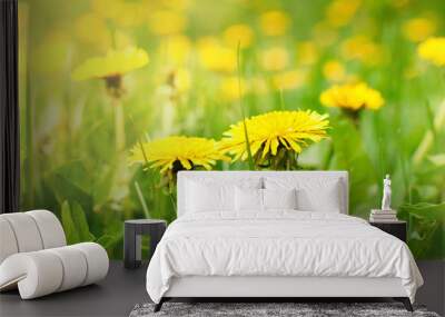 Fresh, spring grass, dandelions early in the morning with a soft focus and sunlight. Bright green abstract background of nature. Wall mural