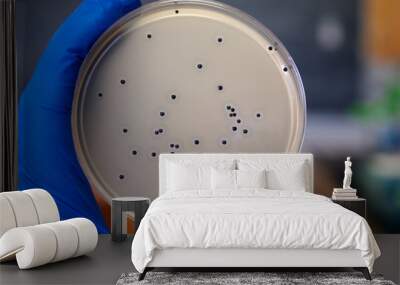 bacterial colonies Wall mural