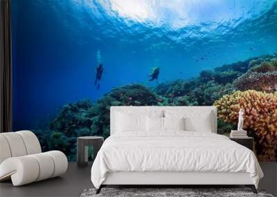 coral reef and diver Wall mural