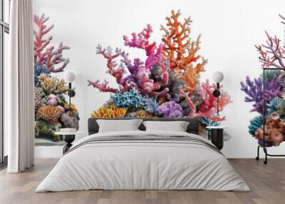 Collection of sea corals on a transparent or white background. Wall mural