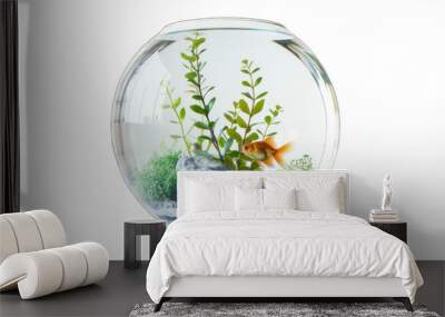 Round aquarium with fish and aquatic plants isolated on transparent or white background Wall mural