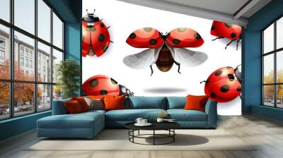 set of red ladybug isolated on white. vector illustration Wall mural