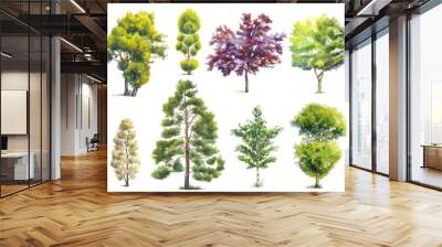 set of watercolor trees isolated on white Wall mural