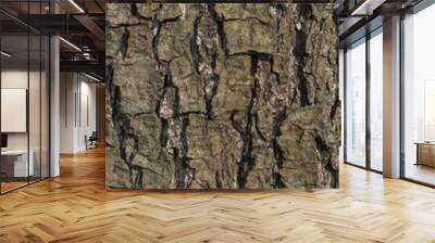 Alder tree bark Wall mural