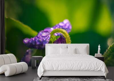 Wild flowers Wall mural