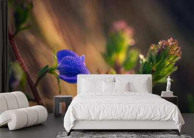 wild flowers Wall mural