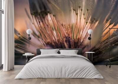 wild flowers Wall mural