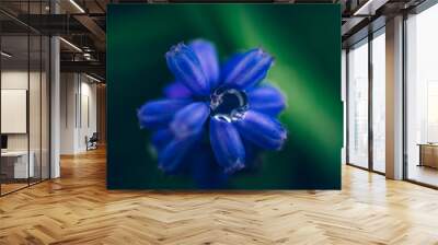 Wild flowers Wall mural