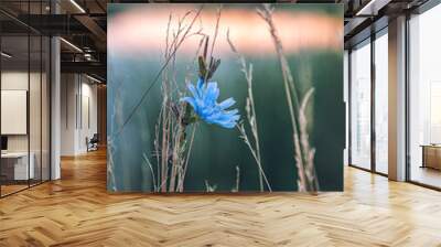 Wild flowers Wall mural