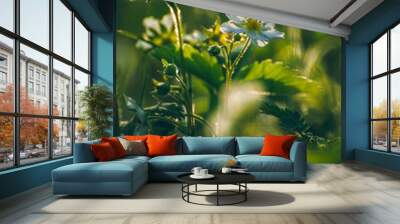 Wild flowers Wall mural