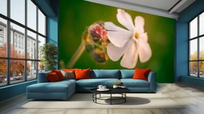 wild flowers Wall mural