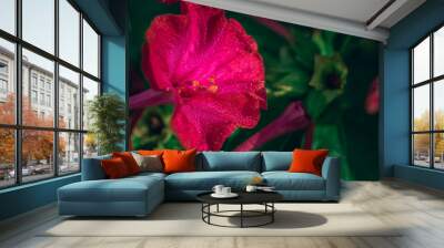 Wild flowers Wall mural