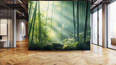 Bamboo forest with sun shining through the leaves in the morning Wall mural